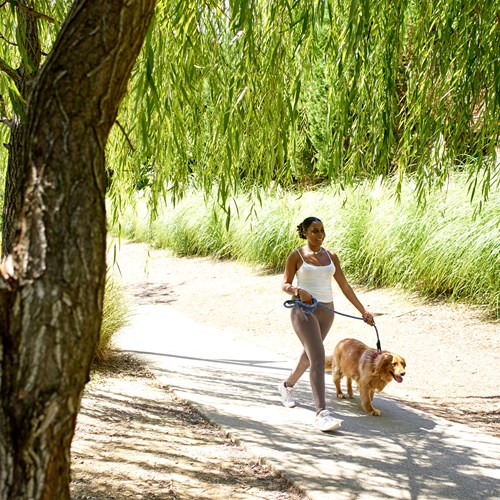 girl walk dog in park